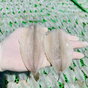 cá đục bóng 2 nắng dẻo