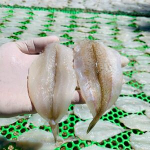 cá đục bóng 2 nắng dẻo